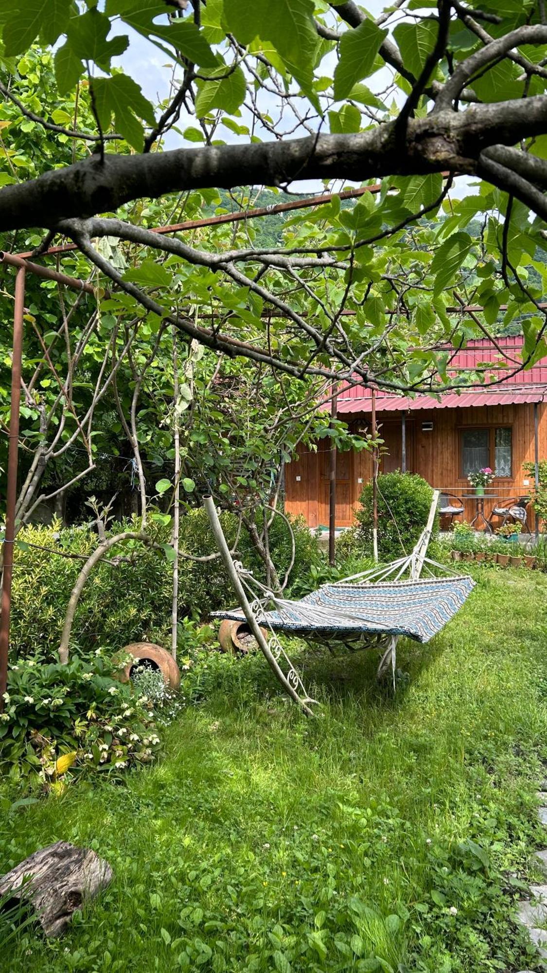 Ludwig Guesthouse Lagodechi Exterior foto
