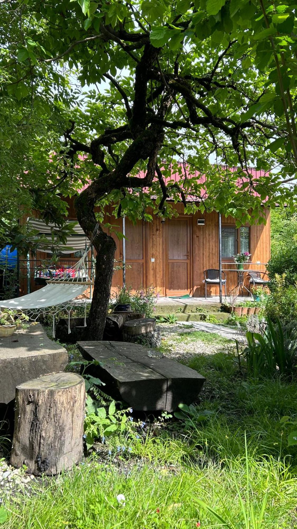 Ludwig Guesthouse Lagodechi Exterior foto