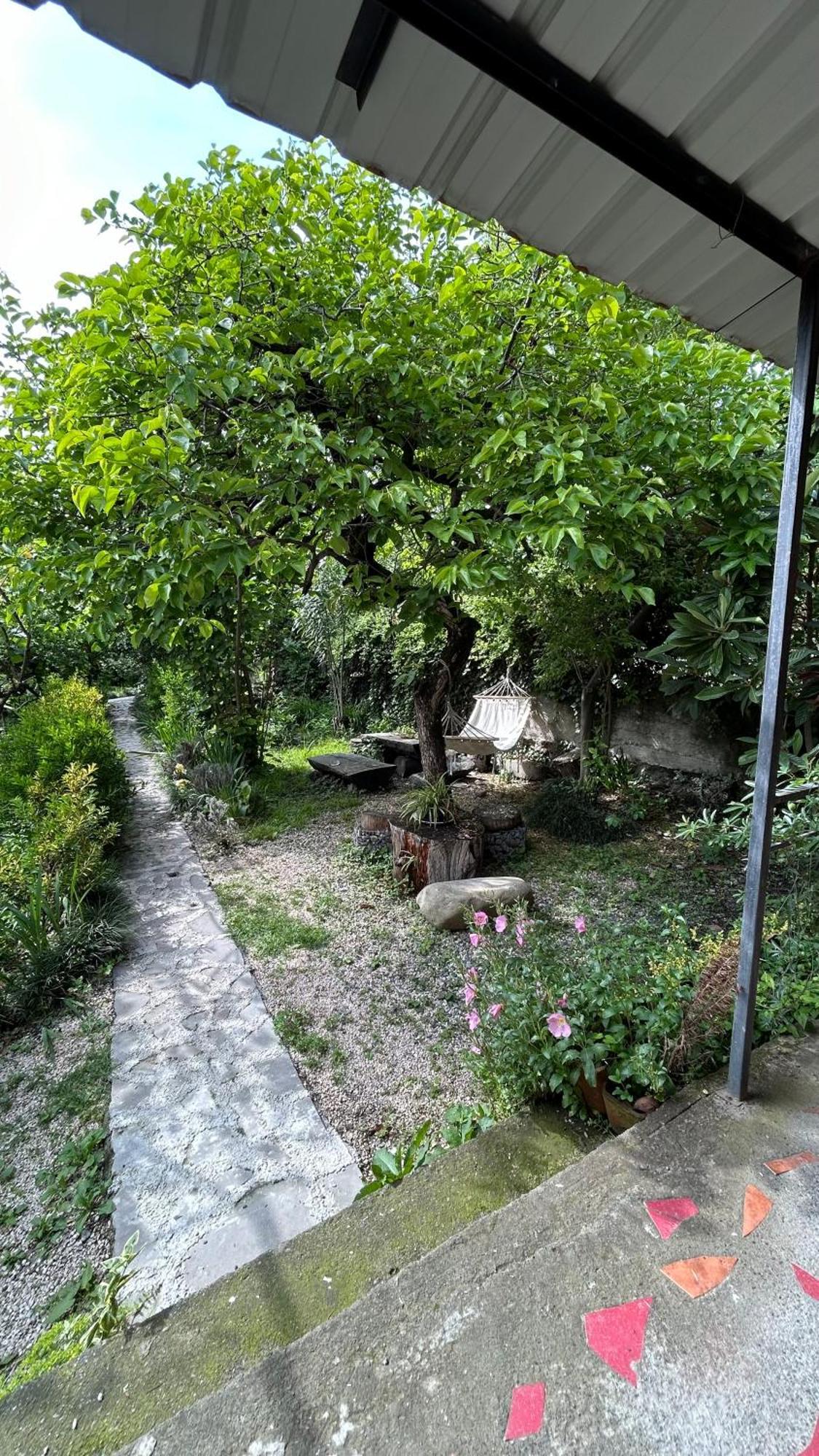 Ludwig Guesthouse Lagodechi Exterior foto